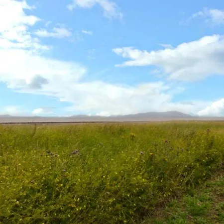 בית נופש Gulls Hatch *